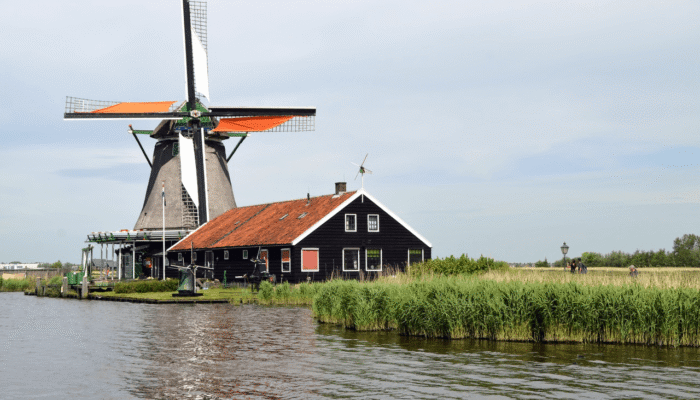 Top 5 most overrated players in the Premier League 2019-20