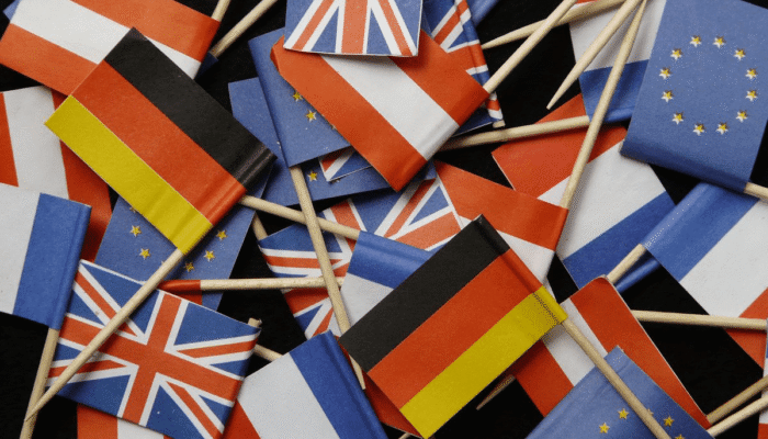 Everything You Wanted to Know About mega city’s