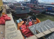 Bea Cukai Gagalkan Penyeludupan 2.500 Karung Bawang
