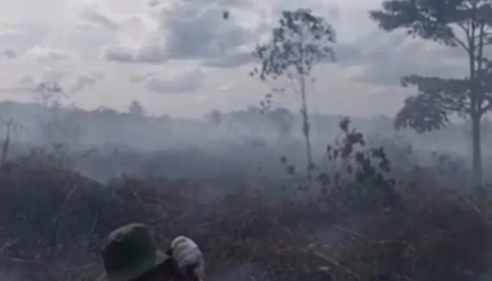 Karhutla 3 Hari di Dumai Hanguskan Belasan Hektar