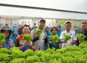 CSR Kilang Pertamina Dumai dan Sungai Pakning Raih Penghargaan Internasional