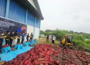 Bea Cukai Dumai Musnahkan 24 Ton Bawang Merah Seludupan