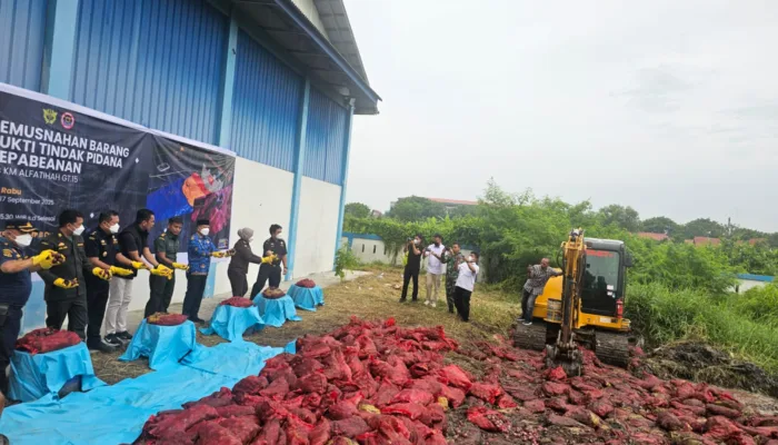 Bea Cukai Dumai Musnahkan 24 Ton Bawang Merah Seludupan