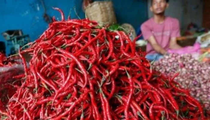Harga Cabe Merah Bikin Warga Dumai Kuras Dompet