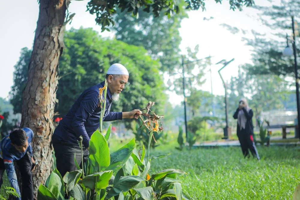 Walikota Dumai