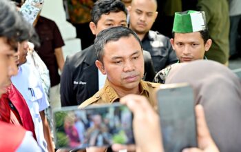 Gubernur Riau
