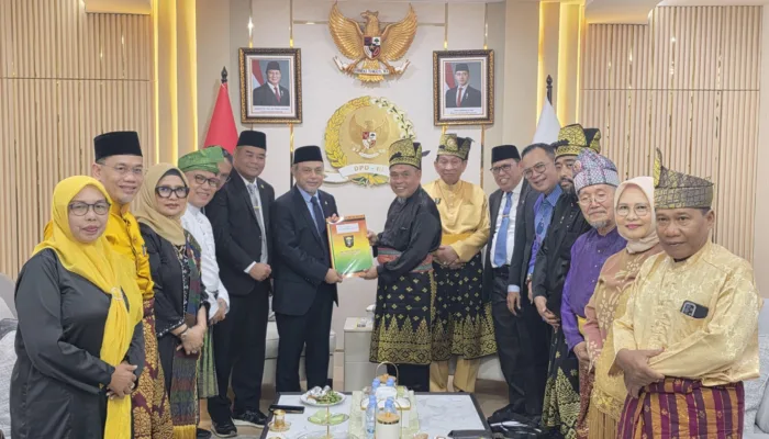 DPR dan DPD RI Sambut Hangat Usulan Daerah Istimewa Riau
