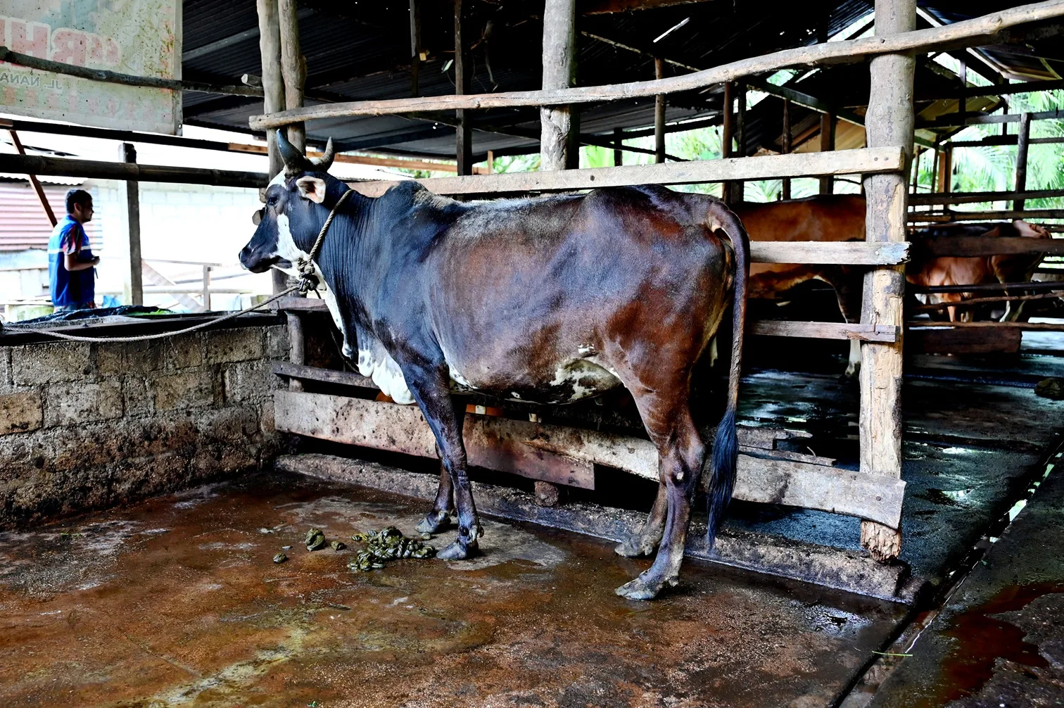 Desa Energi Berdikari Mukti Sari