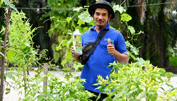 Energi Bersih Dari Kandang Sapi, Transformasi Hijau Desa Mukti Sari