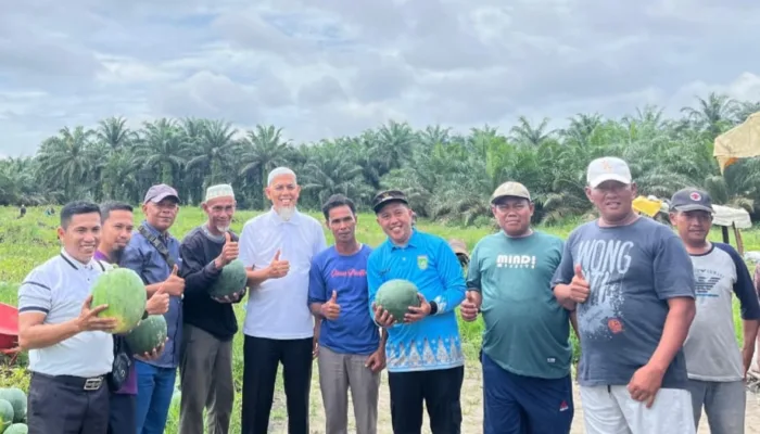 Hasilkan Semangka 50 Ton per Hektar, Wako Pasial Apresiasi Kelompok Tani Jadi Mulia