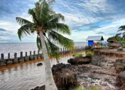 Serumpun Paman Bahari, Menjaga Pesisir Menumbuhkan Harapan