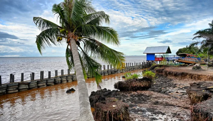 Serumpun Paman Bahari, Menjaga Pesisir Menumbuhkan Harapan
