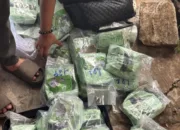 Upaya Mengantar 30 Kg Sabu dari Rupat ke Palembang Terhenti di Pelabuhan Roro Dumai