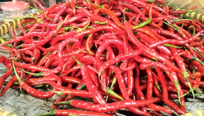 Banjir dan Longsor Sumatera Hambat Pasokan, Harga Cabai di Dumai Tembus Rp150 Ribu