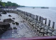 Kilang Pertamina Dumai Bangun Tambahan 200 Meter Pemecah Ombak di Mundam