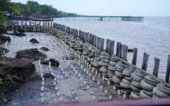 Kilang Pertamina Dumai Bangun Tambahan 200 Meter Pemecah Ombak di Mundam