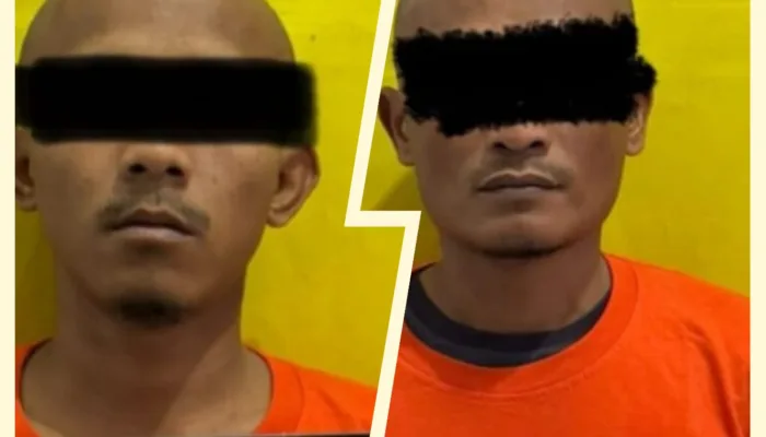 Ketika 15 Jenjang Sawit Menguak Aksi Pencurian di Pelintung, Dua Pelaku Diamankan