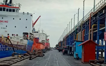 Jepang Bidik Dumai, Tertarik Bangun Dermaga Ekspor CPO