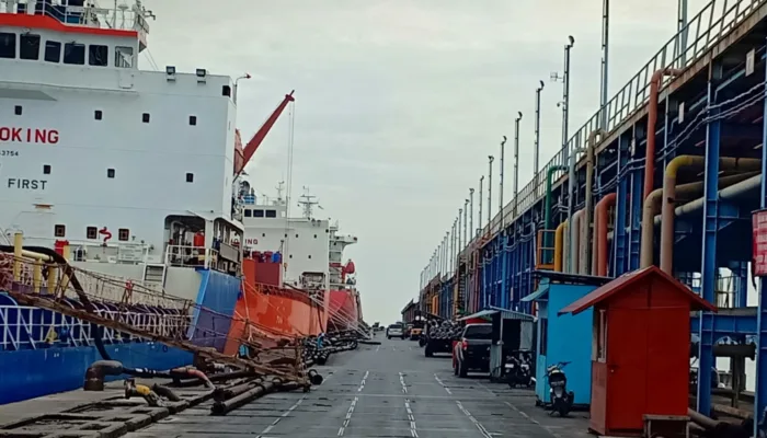 Jepang Bidik Dumai, Tertarik Bangun Dermaga Ekspor CPO