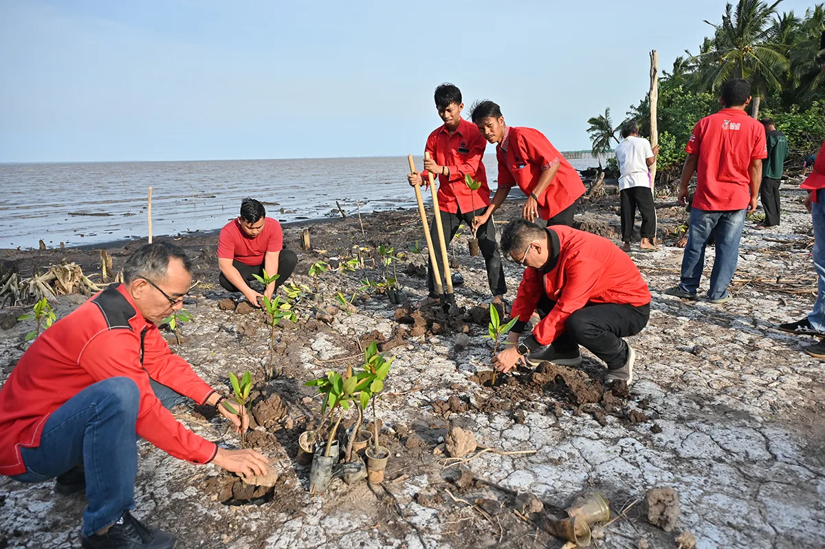 Penanaman mangrove yang dipimpin Ketua DPC PDI Perjuangan Dumai Bahari, S.H dalam rangka HUT ke-79 Megawati Soekarnoputri.