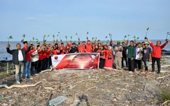Bahari Pimpin Aksi Merawat Pertiwi, PDI Perjuangan Dumai Tanam Mangrove di Mundam