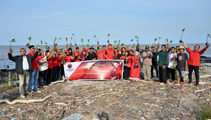 Bahari Pimpin Aksi Merawat Pertiwi, PDI Perjuangan Dumai Tanam Mangrove di Mundam