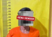 Curi 82 Janjang Sawit, Pemuda Asal Bengkalis ini Berurusan dengan Polisi di Dumai