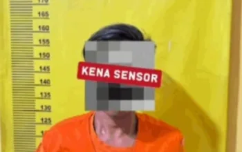 Curi 82 Janjang Sawit, Pemuda Asal Bengkalis ini Berurusan dengan Polisi di Dumai