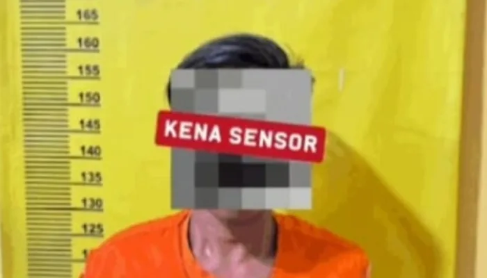 Curi 82 Janjang Sawit, Pemuda Asal Bengkalis ini Berurusan dengan Polisi di Dumai