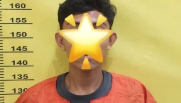 Bobol Rumah di Bangsal Aceh, Pelaku Curi iPhone hingga Ayam