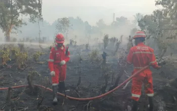 Fire Brigade Pertamina Patra Niaga RU Dumai Sigap Padamkan Karlahut di Tanjung Palas