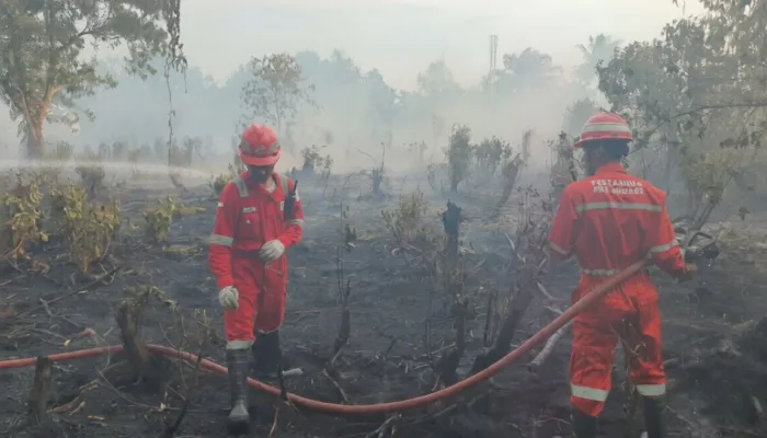 Fire Brigade Pertamina Patra Niaga RU Dumai Sigap Padamkan Karlahut di Tanjung Palas