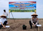 Wali Kota Paisal Arahkan Sinergi Perkuat Ketahanan Pangan Saat Penanaman Jagung Serentak di Dumai