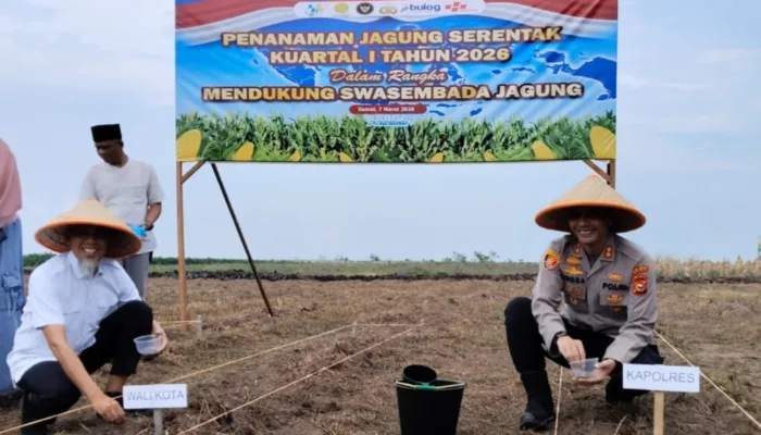 Wali Kota Paisal Arahkan Sinergi Perkuat Ketahanan Pangan Saat Penanaman Jagung Serentak di Dumai
