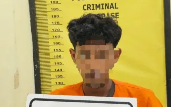 Mencuri 400 Kg Sawit, Pria di Sungai Sembilan Dibekuk Polisi