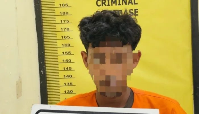 Mencuri 400 Kg Sawit, Pria di Sungai Sembilan Dibekuk Polisi