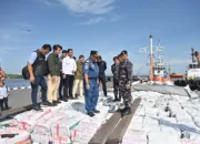 TNI AL Gagalkan Penyelundupan 200 Ton Arang Bakau Ilegal di Perairan Meranti, Nilai Rp4,6 Miliar