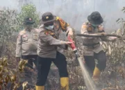 372 Hektar Hutan dan Lahan di Dumai Terbakar Sejak Januari, Terluas di Medang Kampai