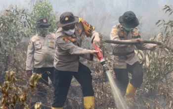 372 Hektar Hutan dan Lahan di Dumai Terbakar Sejak Januari, Terluas di Medang Kampai