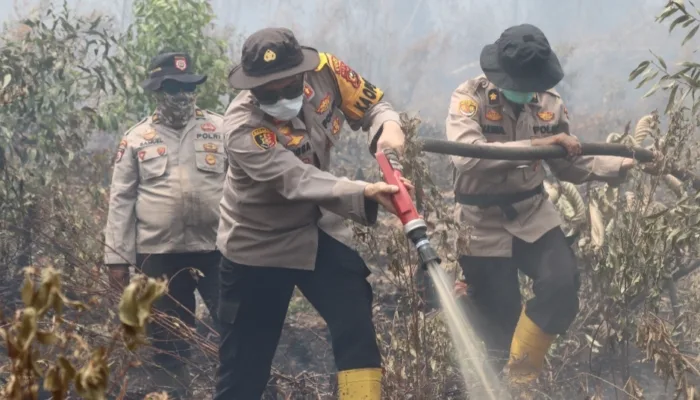 372 Hektar Hutan dan Lahan di Dumai Terbakar Sejak Januari, Terluas di Medang Kampai