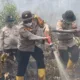 372 Hektar Hutan dan Lahan di Dumai Terbakar Sejak Januari, Terluas di Medang Kampai