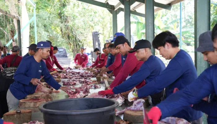 Di Tengah Turn Around Mayor 2026, Kilang Pertamina Dumai Tebar 100 Hewan Kurban untuk Masyarakat