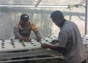 Bhabinkamtibmas Laksamana Aktif Dampingi Warga, Ketahanan Pangan Keluarga di Dumai Kota Kian Menguat