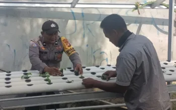 Bhabinkamtibmas Laksamana Aktif Dampingi Warga, Ketahanan Pangan Keluarga di Dumai Kota Kian Menguat