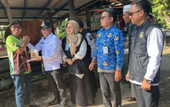 DKPP Catat Sementara 2.402 Hewan Kurban Jelang Idul Adha 2026, Dumai Selatan Terbanyak