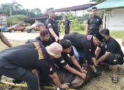 Satpol PP Dumai Sembelih 5 Hewan Kurban, Wakil Wali Kota Sugiyarto Harap Semangat Berbagi Terus Terjaga