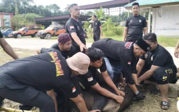 Satpol PP Dumai Sembelih 5 Hewan Kurban, Wakil Wali Kota Sugiyarto Harap Semangat Berbagi Terus Terjaga