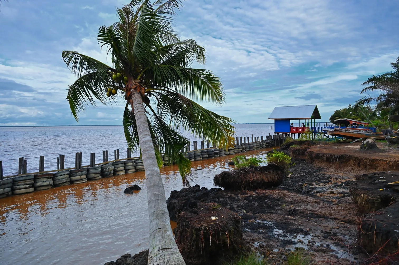 Abrasi medang kampai