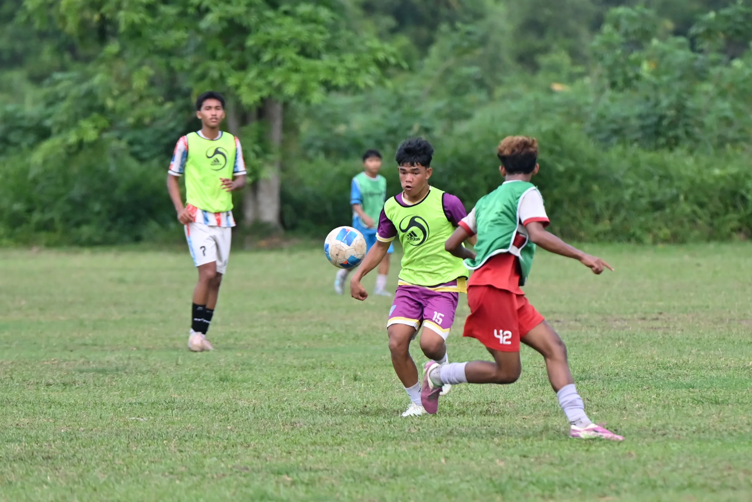 Banteng Dumai