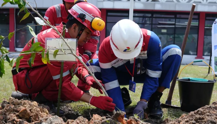Pertamina Patra Niaga Kilang Dumai Perkuat Komitmen ESG Melalui Penanaman  Pohon di Dua Lokasi